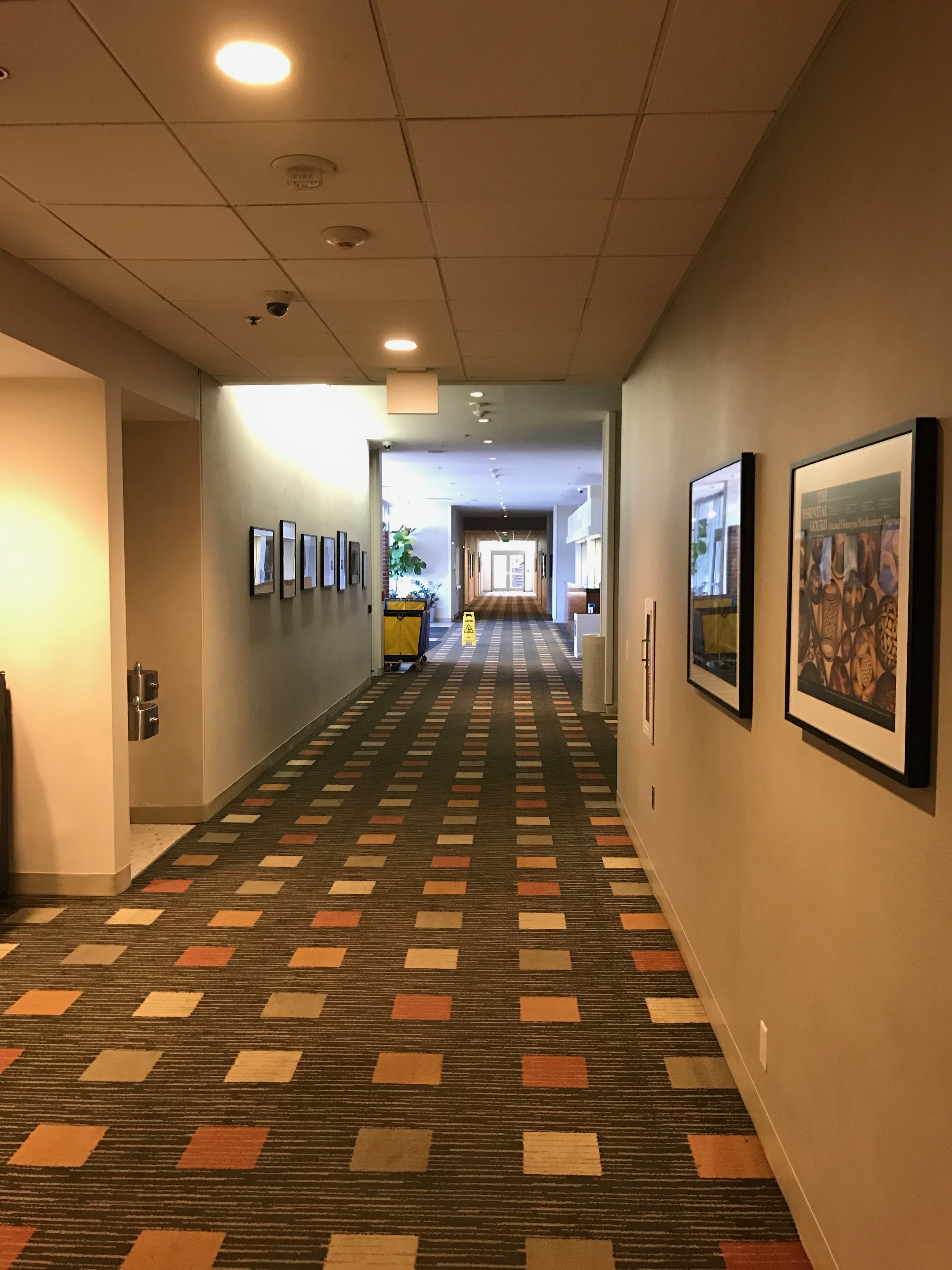 Lobby Area of Dormitory Showcasing Painted Walls with Picture Frames Hanging from them.